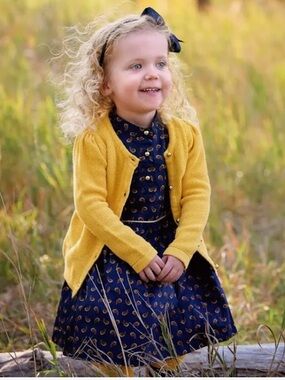 Janie and Jack Paisley Dress Sz 4
